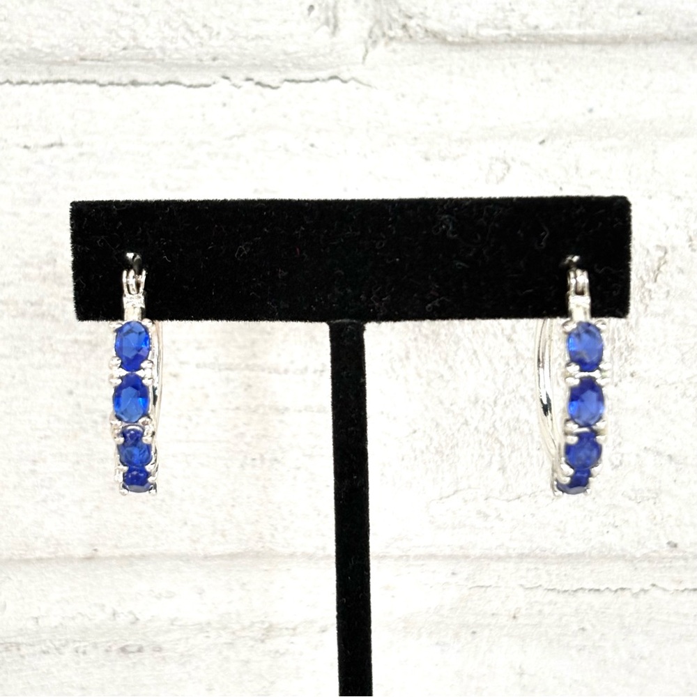 Silver and Blue Hoop Earrings